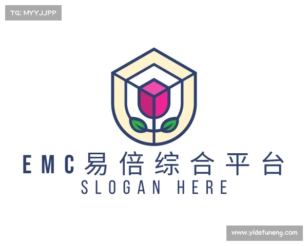 介绍EMC易倍官方网站